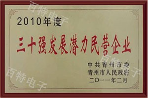 2010年度三十強發(fā)展?jié)摿γ駹I企業(yè)
